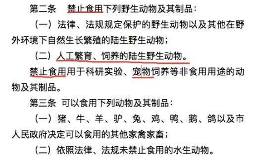 深圳将成为大陆首个立法禁食宠物猫狗城市:5月1日正式实施!_政策法规_宠物资讯_宠物家族网