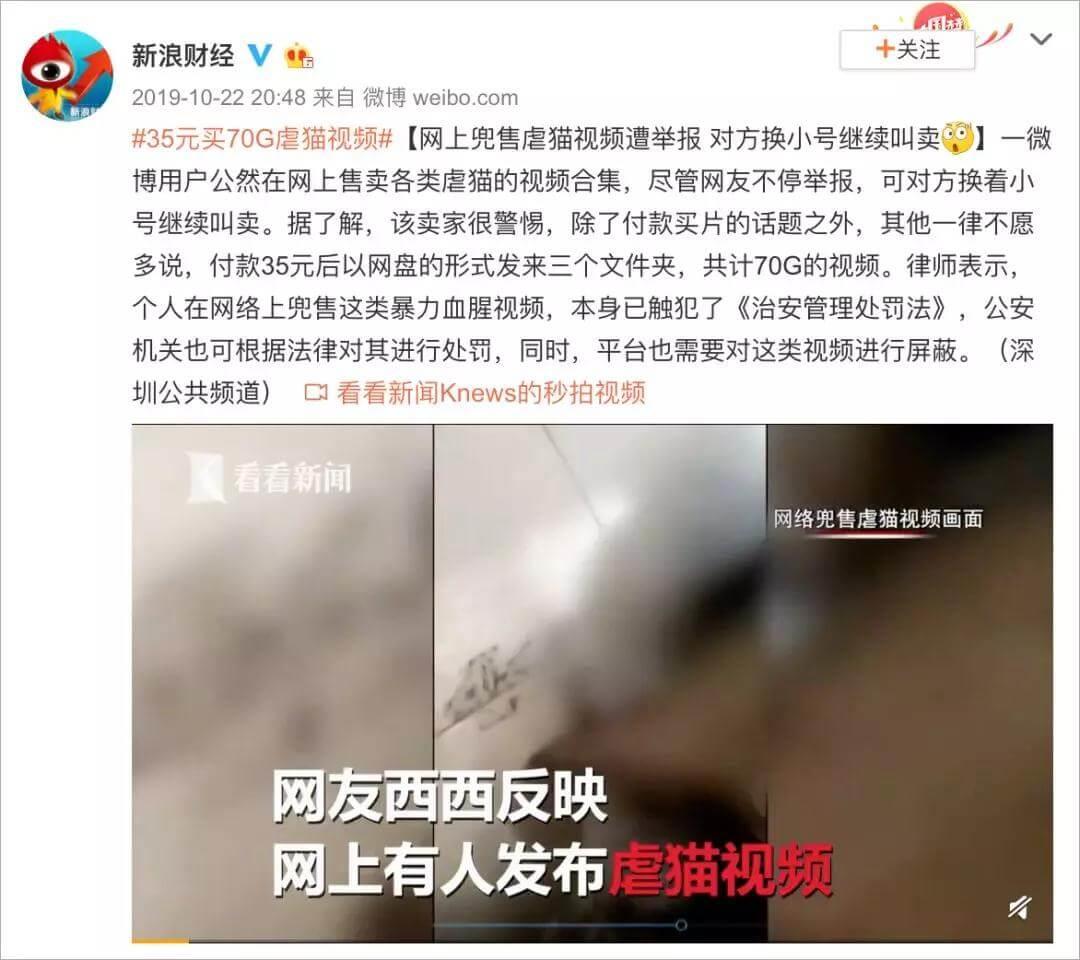 没有动保法，我们该怎么追究虐宠者的法律责任？_政策法规_宠物资讯_宠物家族网