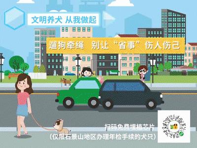 文明养犬 | 快来给狗狗办理“电子身份证”啦!_政策法规_宠物资讯_宠物家族网
