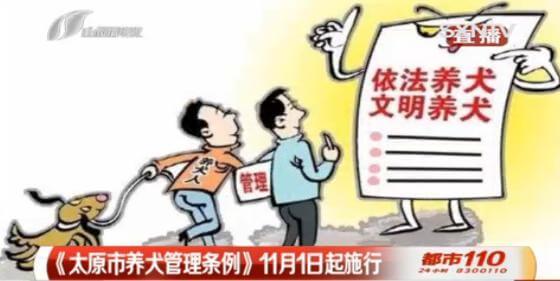 太原最严“养狗令”出台，遛狗绳太长也得罚！_政策法规_宠物资讯_宠物家族网