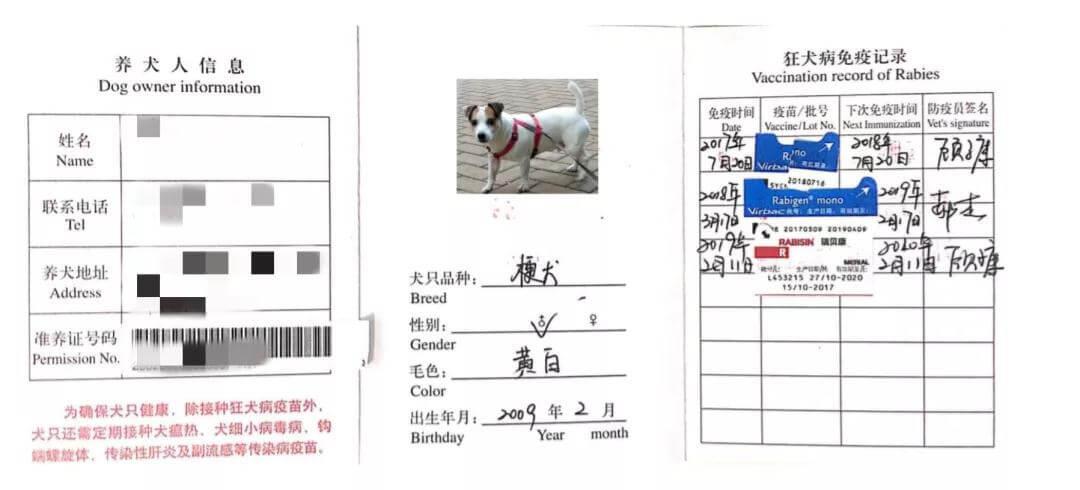 携宠出国需要注意什么？海关官方科普来了_政策法规_宠物资讯_宠物家族网