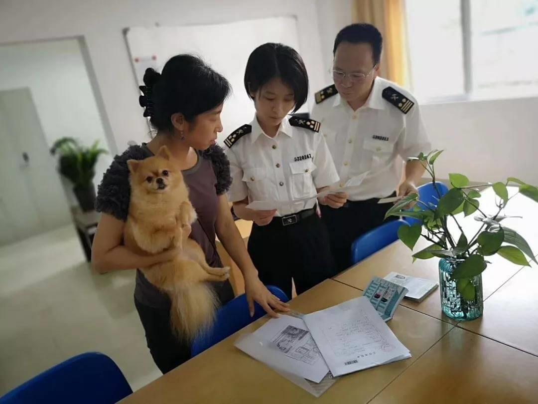 携宠出国需要注意什么？海关官方科普来了_政策法规_宠物资讯_宠物家族网