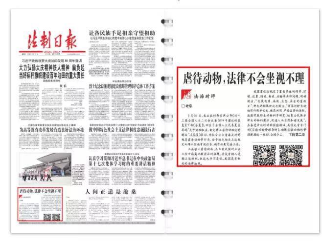 动物们的保护法来了！法制日报：虐待动物，法律不会坐视不理！_政策法规_宠物资讯_宠物家族网