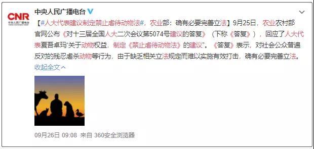 动物们的保护法来了！法制日报：虐待动物，法律不会坐视不理！_政策法规_宠物资讯_宠物家族网