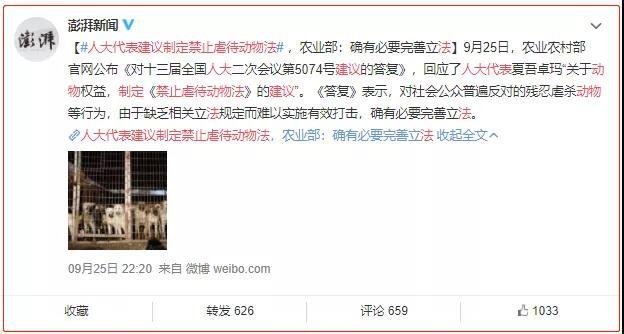 动物们的保护法来了！法制日报：虐待动物，法律不会坐视不理！_政策法规_宠物资讯_宠物家族网