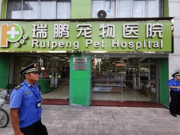 ＂ 睦犬一号 ＂ 行动在深圳全市开启,深圳宠物店售卖烈性犬将被罚_政策法规_宠物资讯_宠物家族网