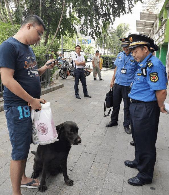 ＂ 睦犬一号 ＂ 行动在深圳全市开启,深圳宠物店售卖烈性犬将被罚_政策法规_宠物资讯_宠物家族网