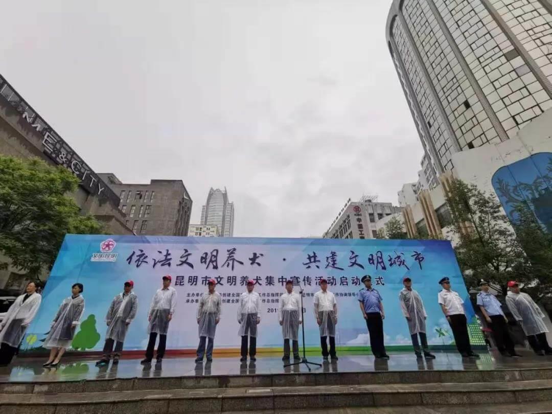 加强文明养犬管理工作，昆明发布文明养犬管理时间表！_政策法规_宠物资讯_宠物家族网