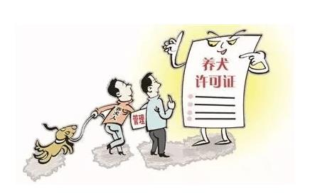 加强文明养犬管理工作，昆明发布文明养犬管理时间表！_政策法规_宠物资讯_宠物家族网