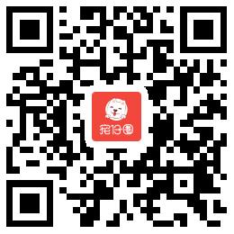 昆明市四部门联合下发《关于进一步加强和改善养犬管理的通告》_政策法规_宠物资讯_宠物家族网