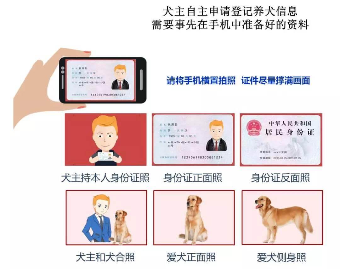 如何快速办理《电子养犬登记证》？_政策法规_宠物资讯_宠物家族网