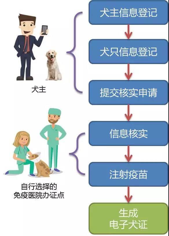 如何快速办理《电子养犬登记证》？_政策法规_宠物资讯_宠物家族网