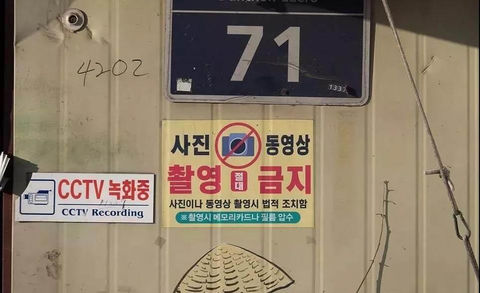 韩政府下令关闭狗肉市场，还将发放过度金_政策法规_宠物资讯_宠物家族网