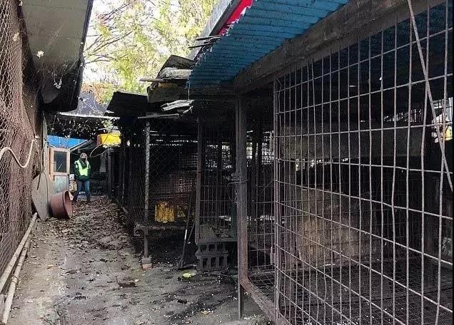 韩政府下令关闭狗肉市场，还将发放过度金_政策法规_宠物资讯_宠物家族网