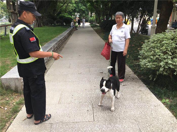 福州晋安河公园加强整治宠物入园_政策法规_宠物资讯_宠物家族网