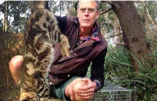 澳大利亚政府下令屠杀两百万只野猫 群众联名抗议_政策法规_宠物资讯_宠物家族网