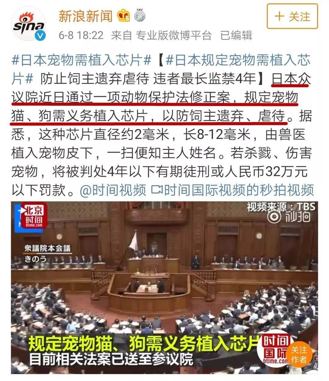 深圳将中华田园犬移出禁养名单_政策法规_宠物资讯_宠物家族网