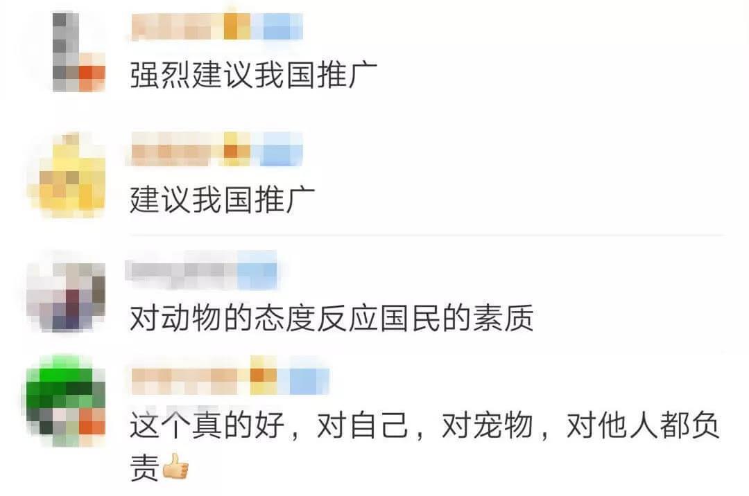 深圳将中华田园犬移出禁养名单_政策法规_宠物资讯_宠物家族网