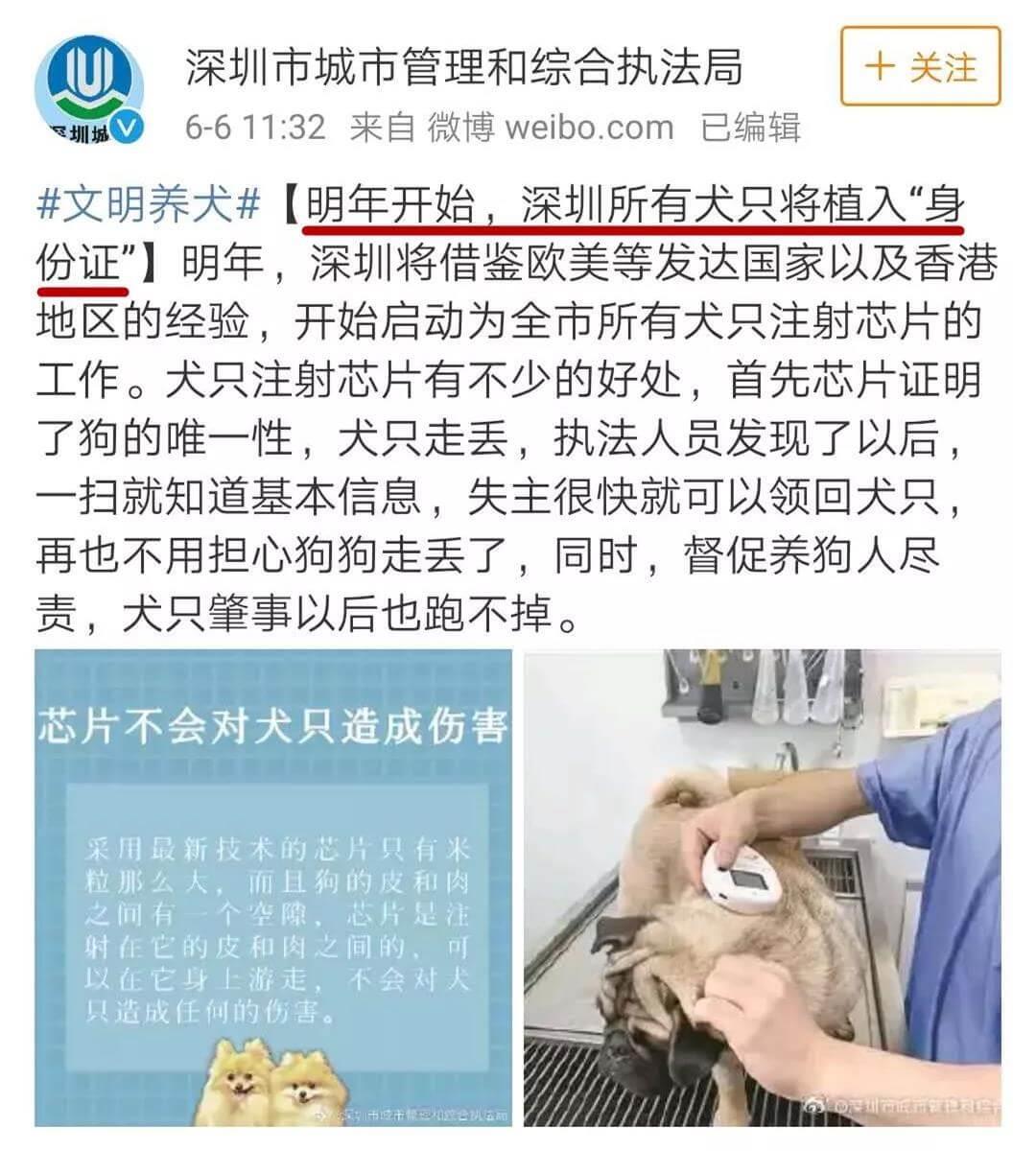 深圳将中华田园犬移出禁养名单_政策法规_宠物资讯_宠物家族网