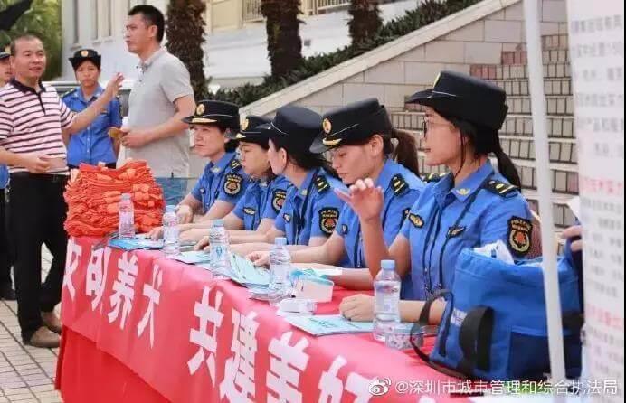 深圳将中华田园犬移出禁养名单_政策法规_宠物资讯_宠物家族网