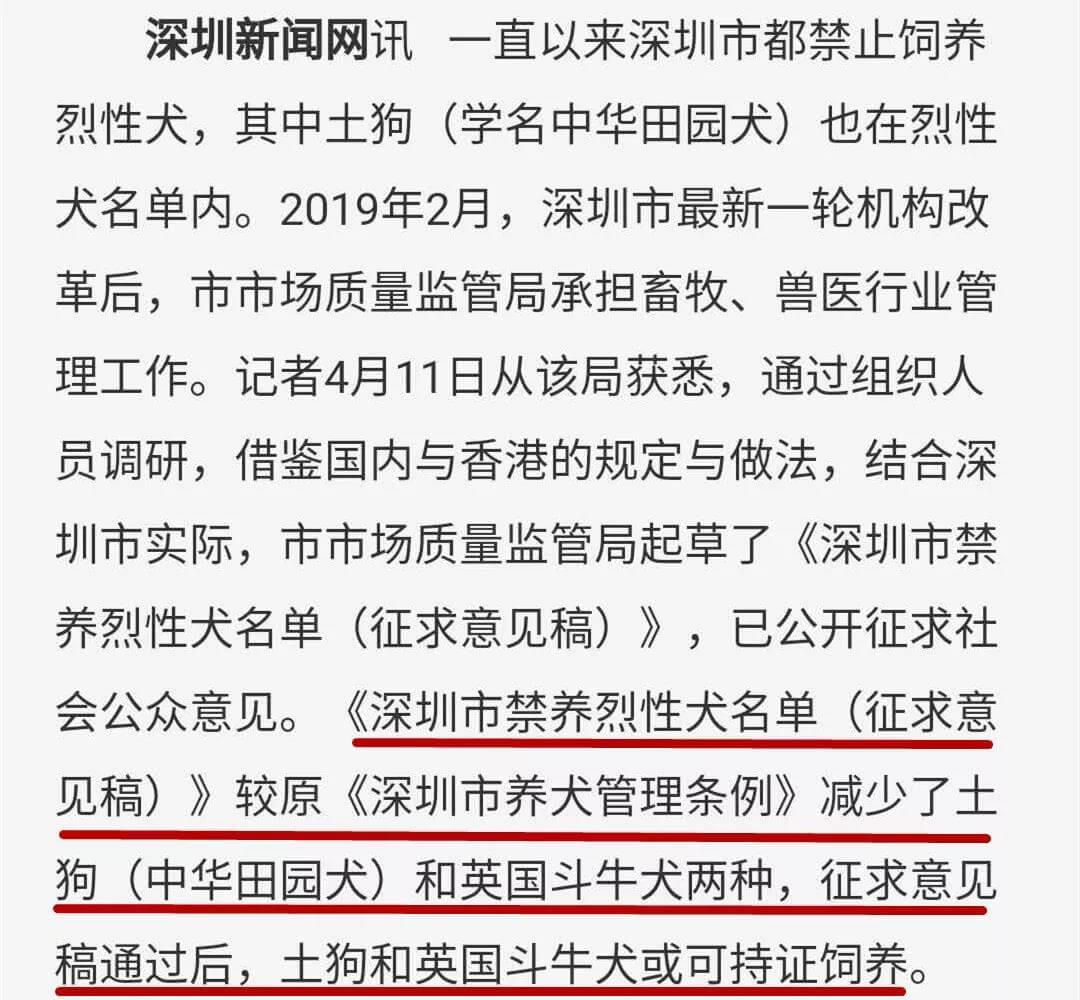 深圳将中华田园犬移出禁养名单_政策法规_宠物资讯_宠物家族网