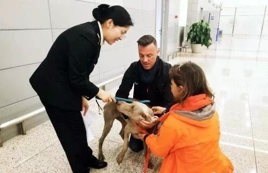 纽约将禁止猫咪除爪手术；中国现代宠物职业教育联合体成立_政策法规_宠物资讯_宠物家族网