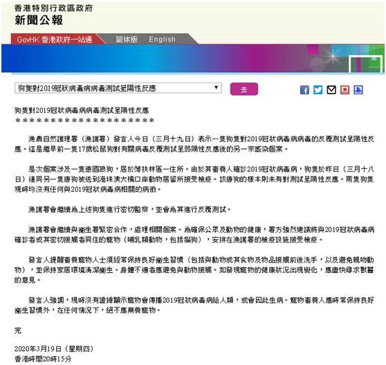 第二例“阳性狗”，跨越种族的抗疫统一战线！