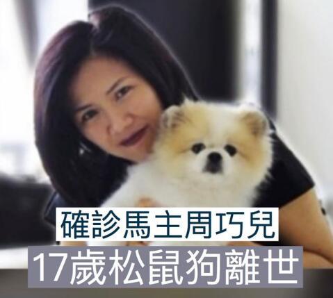 第二例“阳性狗”，跨越种族的抗疫统一战线！