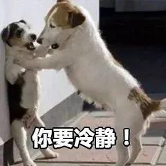 第二例“阳性狗”，跨越种族的抗疫统一战线！