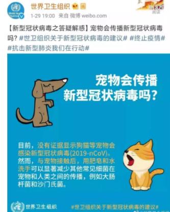 狗狗消毒水什么牌子好用? 好用的狗狗去味消毒水推荐!