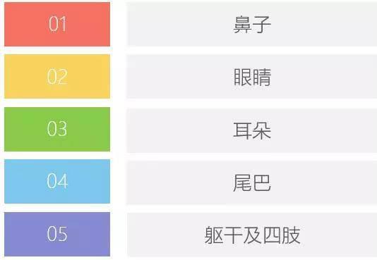 学会狗语言，读懂你的狗——狗狗的喜怒哀乐不用猜