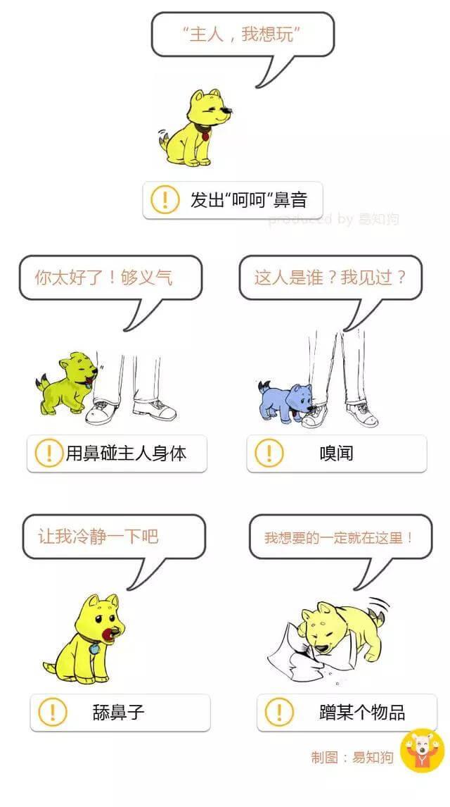学会狗语言，读懂你的狗——狗狗的喜怒哀乐不用猜