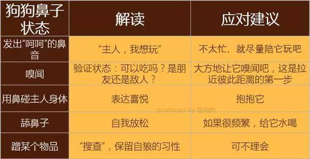 学会狗语言，读懂你的狗——狗狗的喜怒哀乐不用猜