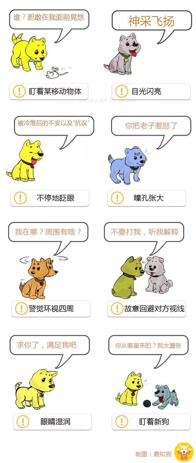 学会狗语言，读懂你的狗——狗狗的喜怒哀乐不用猜