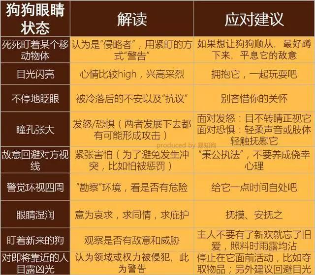 学会狗语言，读懂你的狗——狗狗的喜怒哀乐不用猜