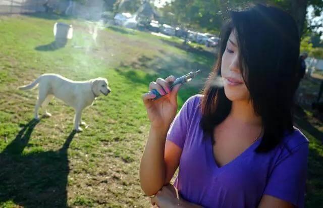 春节派烟成为习俗，主人抽烟时需要注意，别让狗狗把烟头吃进肚子