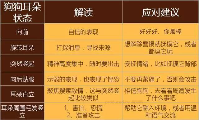 学会狗语言，读懂你的狗——狗狗的喜怒哀乐不用猜
