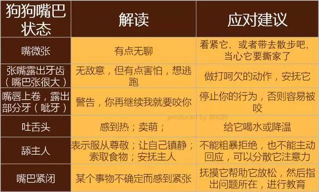 学会狗语言，读懂你的狗——狗狗的喜怒哀乐不用猜