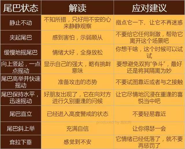 学会狗语言，读懂你的狗——狗狗的喜怒哀乐不用猜