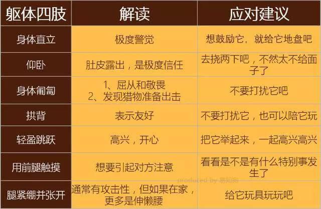 学会狗语言，读懂你的狗——狗狗的喜怒哀乐不用猜