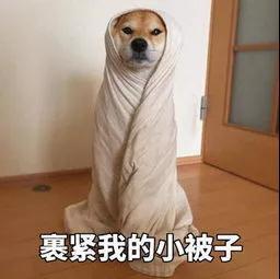哪些狗狗冬天特别怕冷？