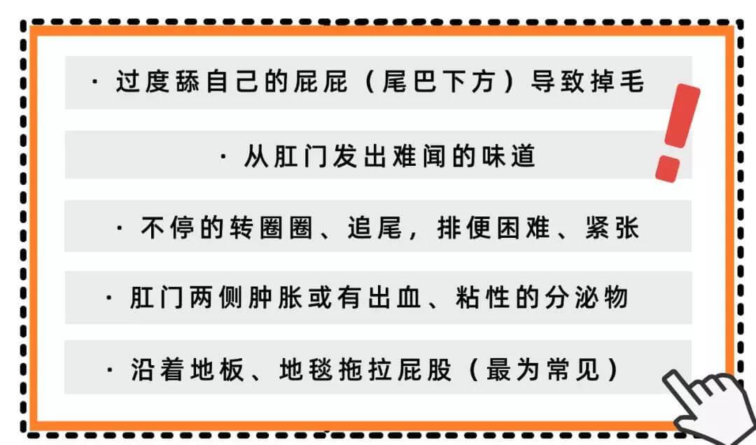 比屎臭N倍的肛门腺，到底该不该挤？