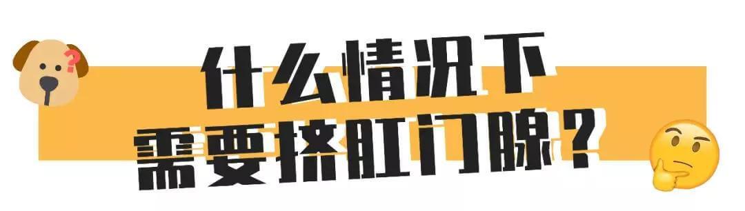 比屎臭N倍的肛门腺，到底该不该挤？