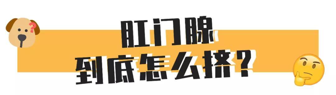 比屎臭N倍的肛门腺，到底该不该挤？