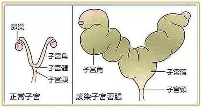 狗狗为什么要做绝育？狗狗绝育的8大好处！