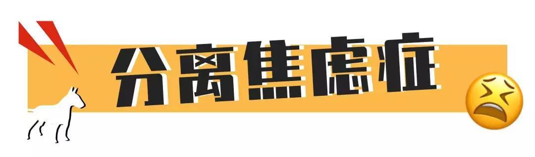 好吓人！我的狗为什么总是冲着空地叫！？