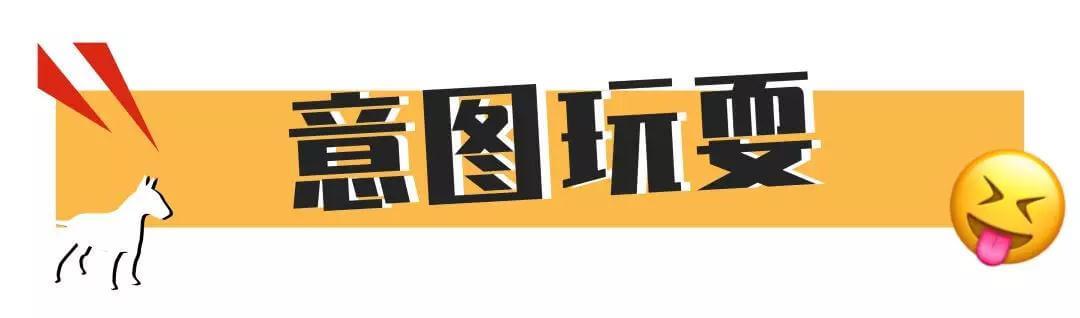 好吓人！我的狗为什么总是冲着空地叫！？