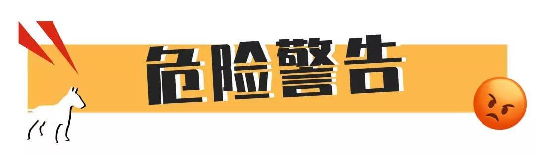 好吓人！我的狗为什么总是冲着空地叫！？