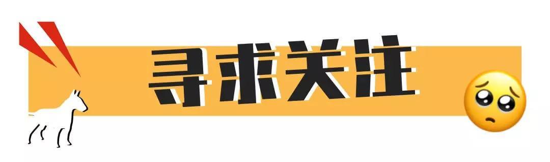 好吓人！我的狗为什么总是冲着空地叫！？