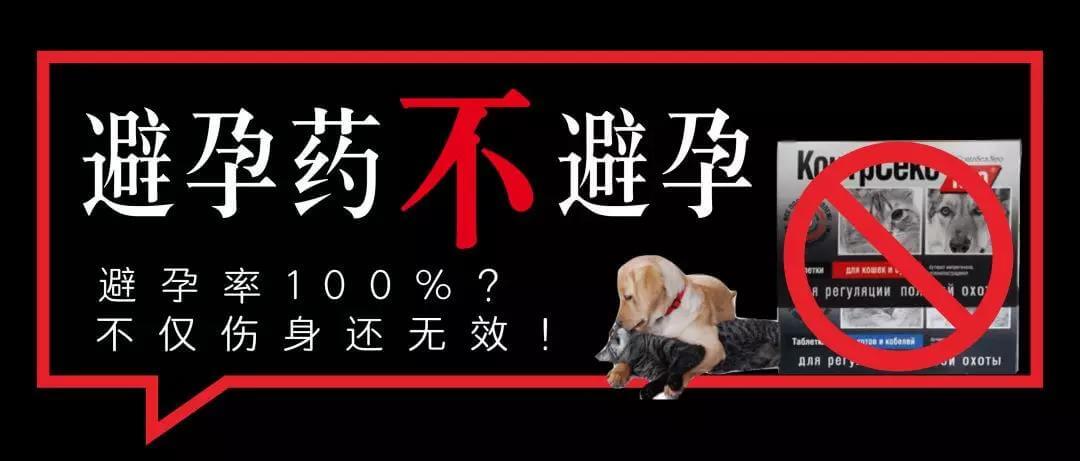给宠物使用 鸡骨化胎？绝育粮？请停止这些无知又无效的绝育方法！